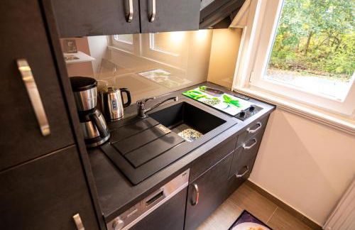 Harz Living - Ferienwohnungen mit Traumblick - Foto 16