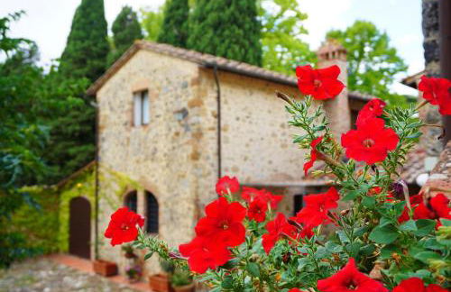 Fattoria Lornano Winery - Foto 156