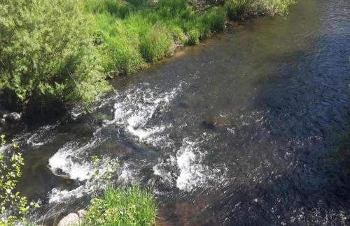 Quaint Bungalow Near Insel Poel With Garden - Foto 72