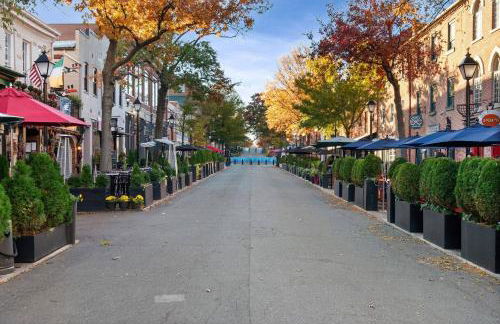 Luxe Stay in Quaint Old Town Alexandria near D.C. - Foto 21