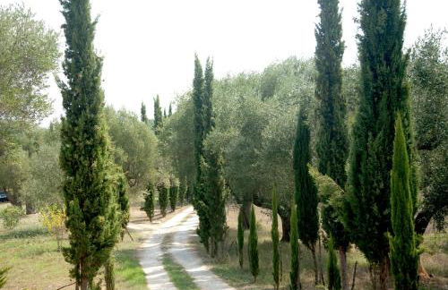 Pie' d'Ulivo - Foto 93