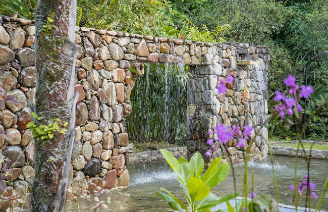 Hacienda Boutique - Photo 61