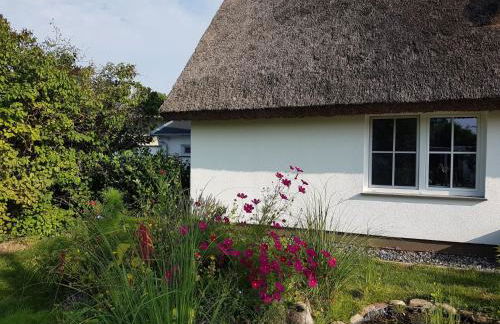 Apartment Traumhafte Ferienwohnung im Reetferienhaus by Interhome - Foto 8