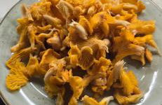 Haus Panorama mit Alpenblick - Foto 38