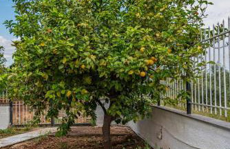 KrinesGReece - Foto 44