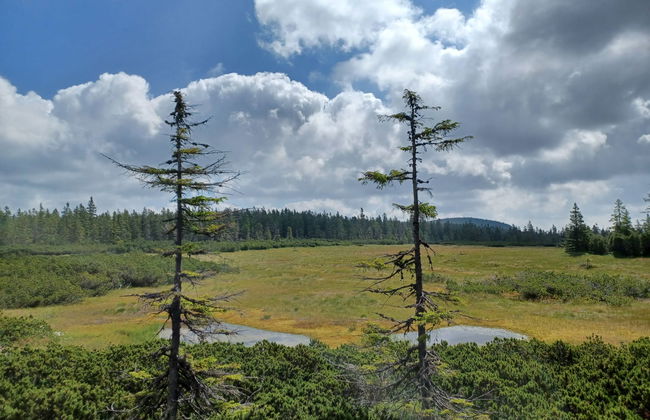 Holiday Hill 67 - Foto 65