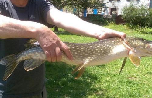 Holiday Home in Guerlesquin Near Lake - Foto 37