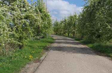 Ferienwohnung Apfelkorb - Photo 31