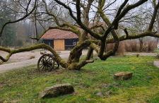 The Cottages - Pet Friendly - Photo 60