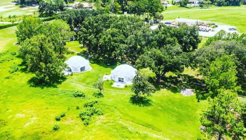 ROOM 03 - Lake Sumner - Foto 5