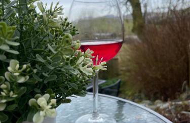 Trawsfynydd Stone Cottage - Foto 30