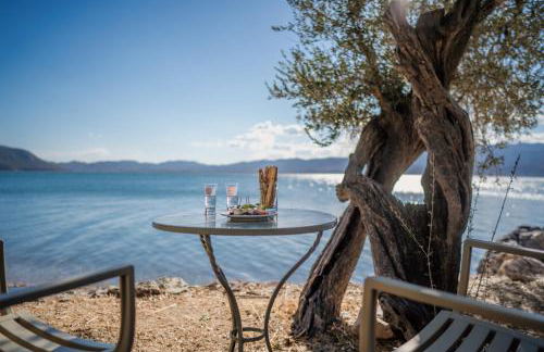 Traditional Stone House in Seafront Olive Grove A - Photo 1