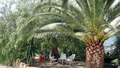 Apartment Ivano - PGI125 by Interhome - Foto 3