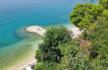 Apartmani Anda - Photo 23