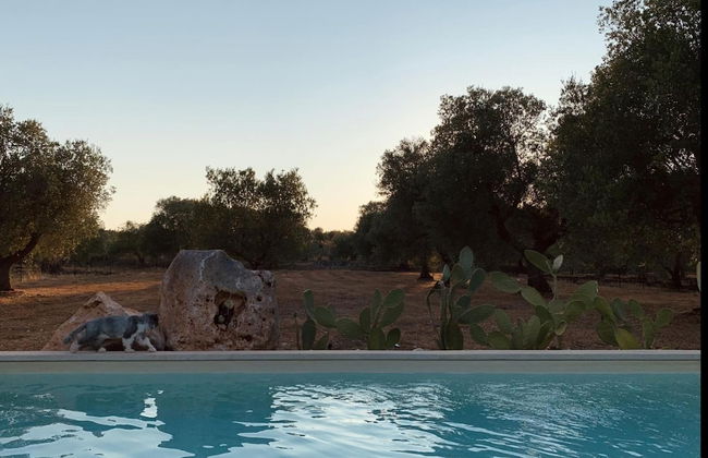 Trullo Oscar - Photo 8