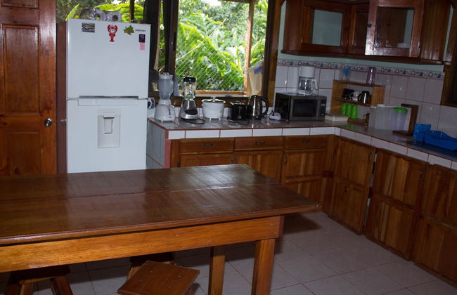 Enchanting House Overlooking the Primary Forest - Photo 7