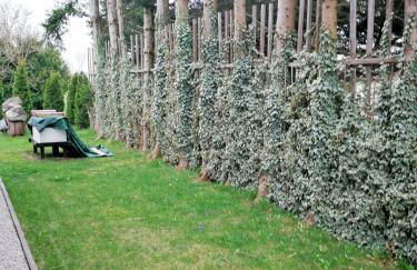 Münsing Nähe Starnberger See, schöne Ferienwohnung, Gästewohnung 125qm EG und OG KONTAKTFREI - Foto 12