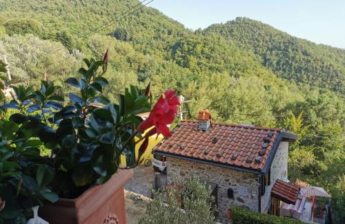 Deliziosa Casetta Sull'Appennino Toscano - Foto 53