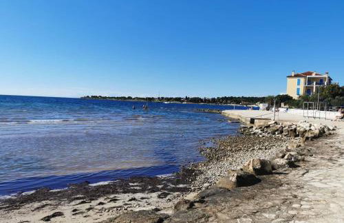 App Palčić K - Photo 24