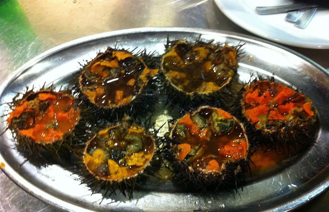 The Old Palace Tower / La Torre del Palación - Foto 33