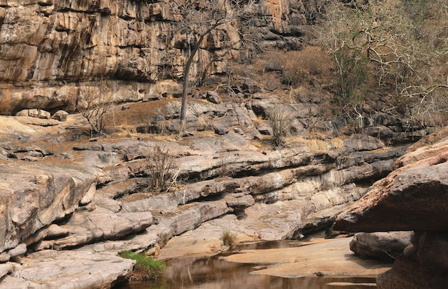 Buccara Waterberg - Molapo - Photo 78