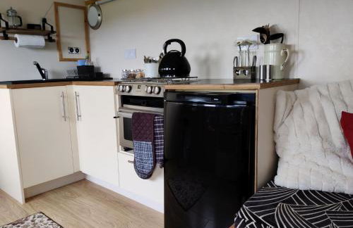 Cosy Off Grid Shepherds Hut with Wood Fired Hot Tub - Foto 4