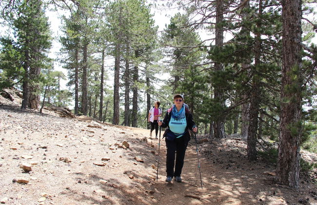 Tzionis Petroktisto Holiday Stonehouse - Photo 31