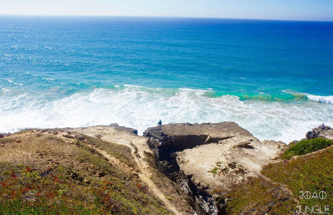 João Jungle - Foto 76