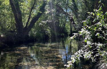 Caribbean apartment - Foto 13