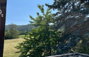 Ferienwohnungen Harzblick - Foto 9