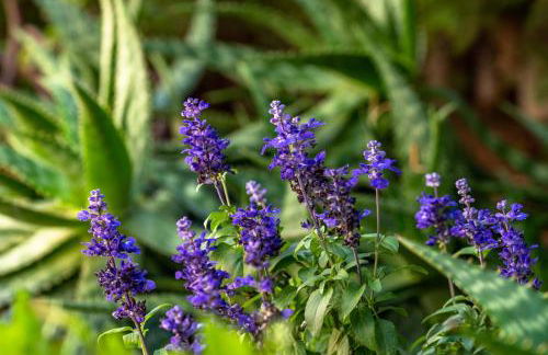 2263 Sunny holiday home with views over the bay of Palma - Foto 16