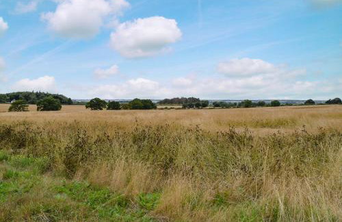 Alice Cottage - Photo 21