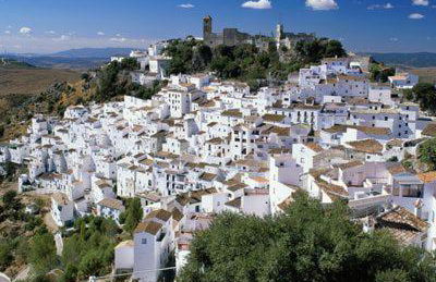 CASARES appart 2 ch dans parc tropical avec vue sur mer, montagne et piscine - Photo 25