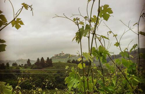 Cascina Maina - Foto 19