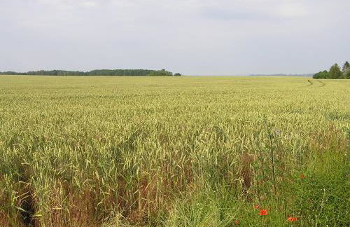 Peeneurlaub - Foto 79