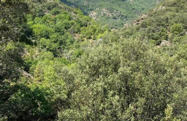Appartement de Charme dans un Ancien Mas Cévenol piscine et jacuzzi - Foto 49