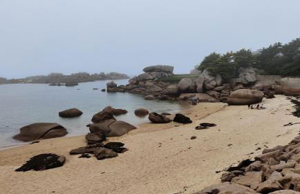 Maisonnette avec cour - Foto 16