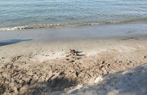 Izzy&Simple - Foto 27