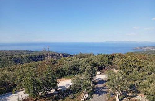 Τhe grandma's house - Foto 32