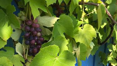 Maison chaleureuse avec grand jardin à 2h de Paris - Photo 5