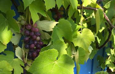 Maison chaleureuse avec grand jardin à 2h de Paris - Photo 5