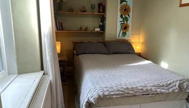 Cynfaen house - Foto 3