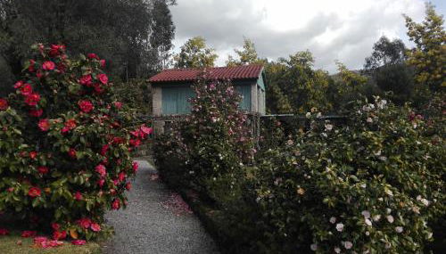 Casas da Tapada Briteiros Casa Do Espigueiro - Foto 3, Garden