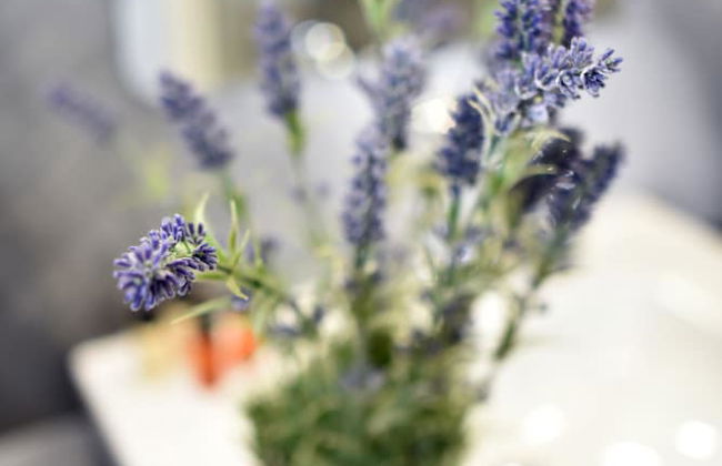 Manduša Heritage Apartments - Foto 44