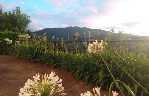 Lokate 2 Habitaciones - Foto 13