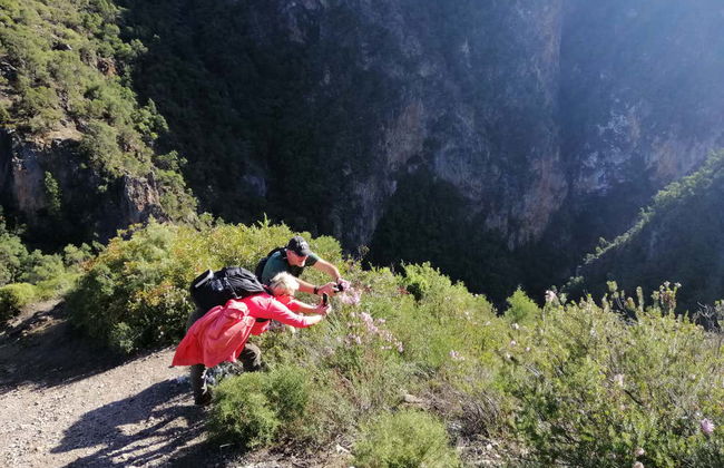 Private Hike to Akchour's Bridge of God - Foto 1