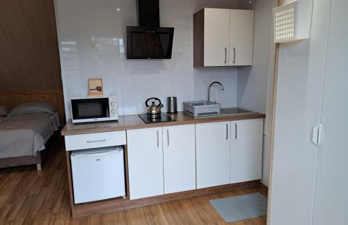 Noclegi Pod Modrzewiem - Foto 11