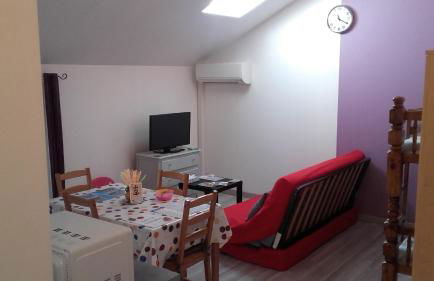 L'oiseau bleu - Foto 10