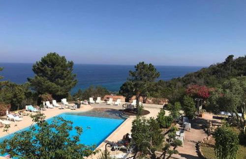 Le Thyreneen - Foto 4