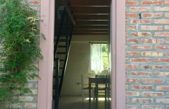 La Floridita Puerto Piramides - Photo 4